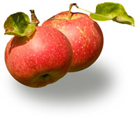 Apfel